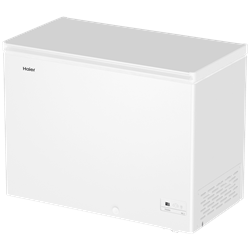 Haier HCE301R