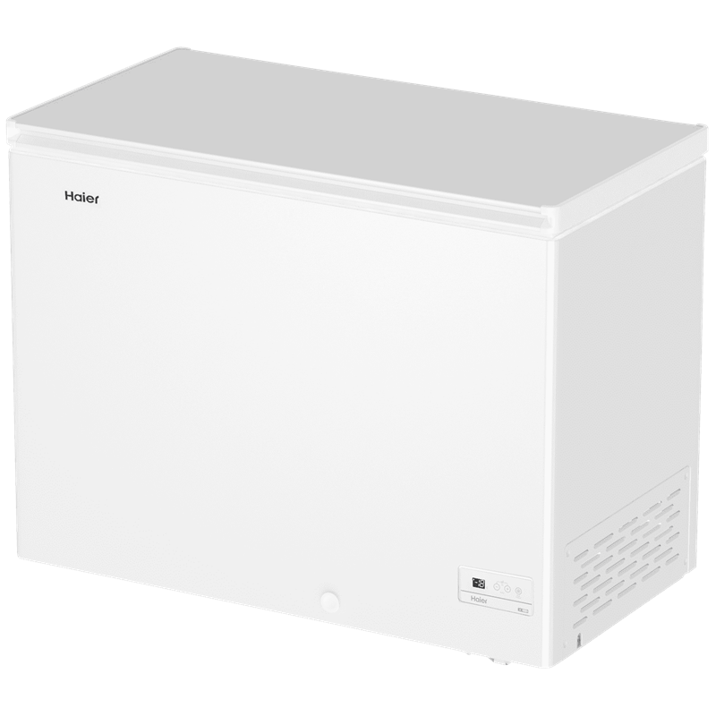 Haier HCE301R